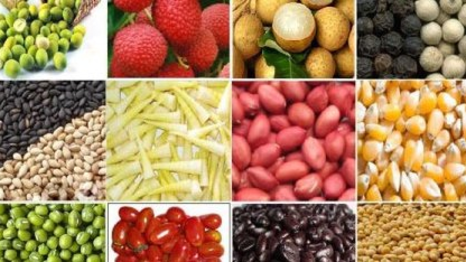 Agro-fishery-forestry exports reach US$24.6 billion in ten months
