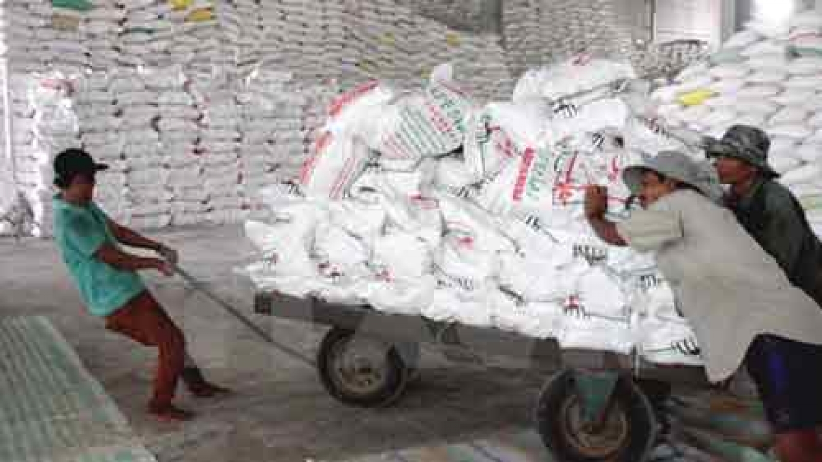 Agro-forestry-fishery exports earn US$12 bln in five months
