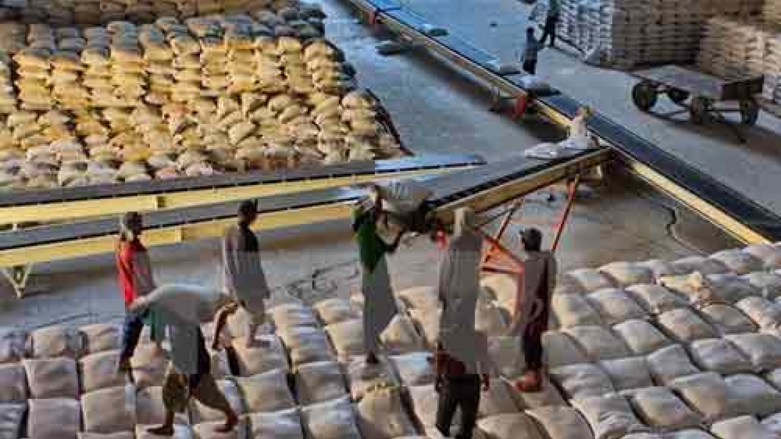 Agro-forestry-fishery exports valued at US$17.8 billion