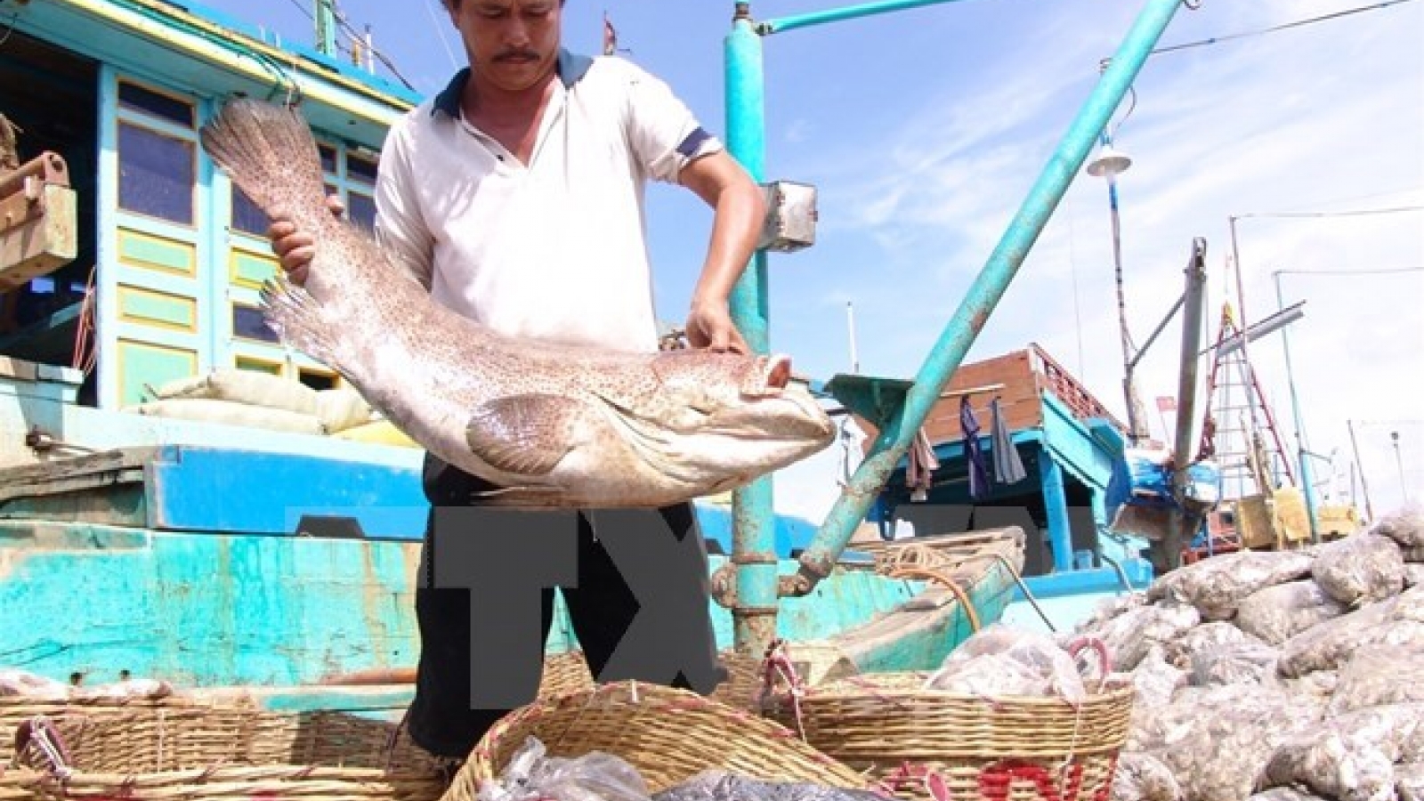 Agro-forestry-fishery exports reach US$29.1 billion so far