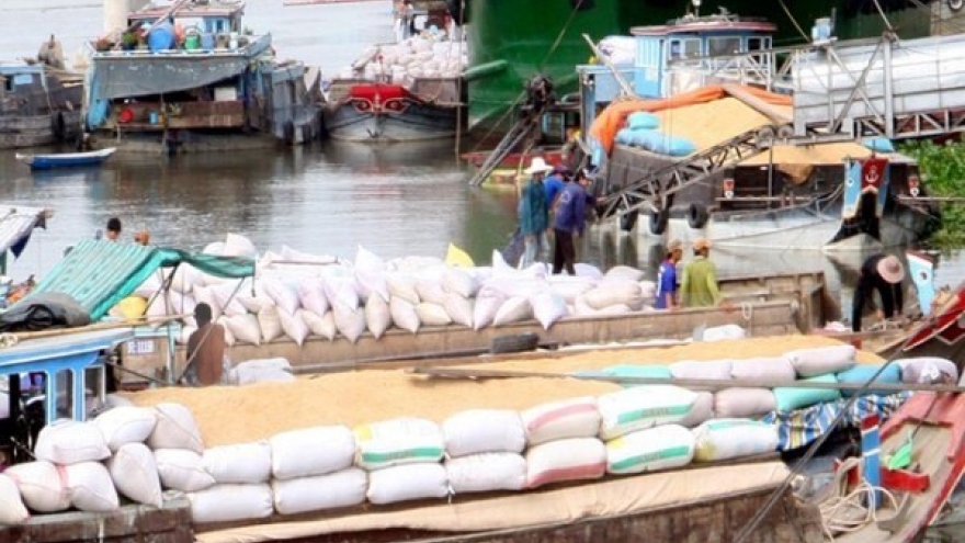 Agro-fishery-forestry export surges in first 8 months