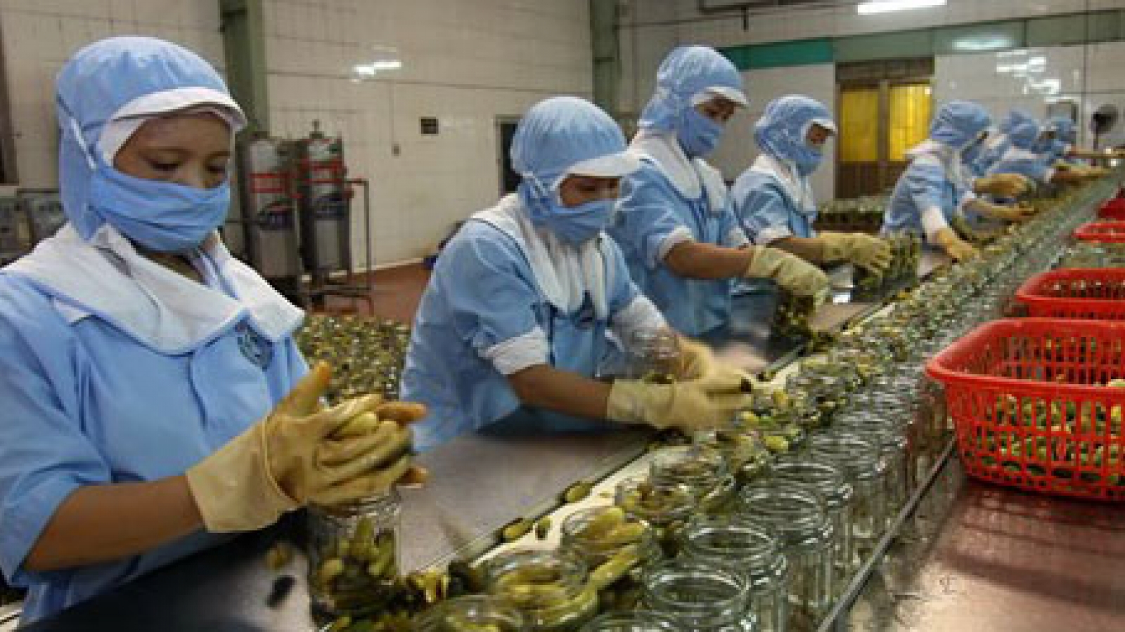 Local agro-forestry and fisheries products to penetrate Egypt