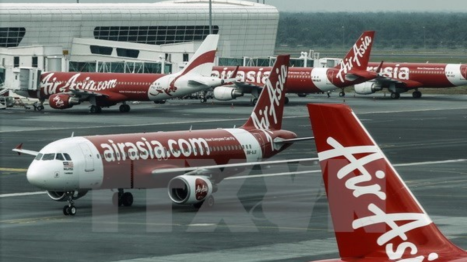AirAsia offers free flights to ASEAN Olympic gold medalists