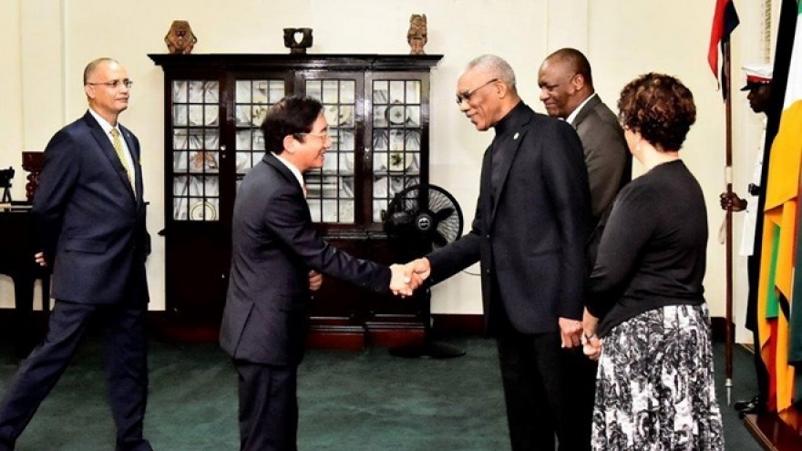 Diplomat: Vietnam wants to deepen cooperation with Guyana