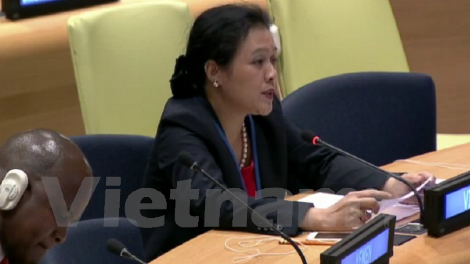 Vietnam continues to work with UNDP to realise SDGs: Ambassador
