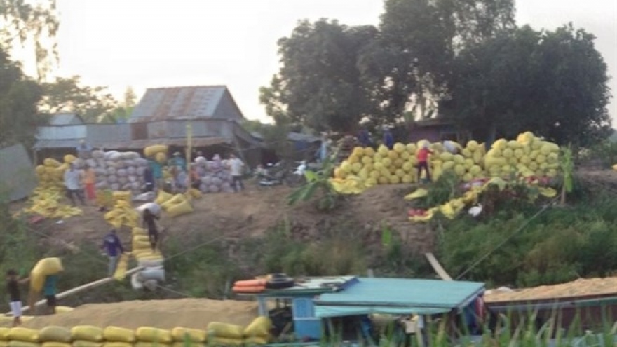 An Giang earns US$110.8 million from exports in two months