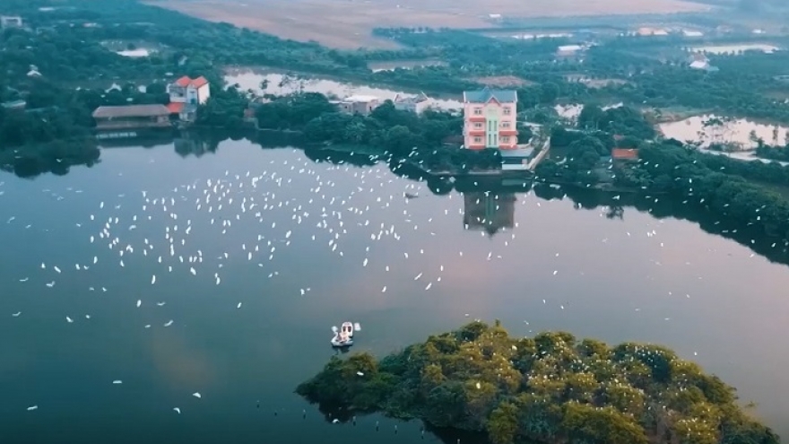 Stork island - tourist heaven in northern Vietnam