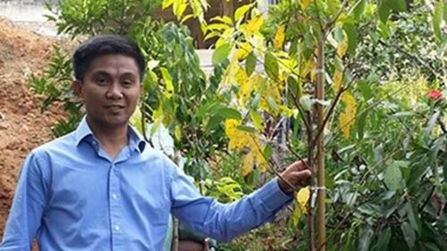 Yoshino cherry comes to Da Lat