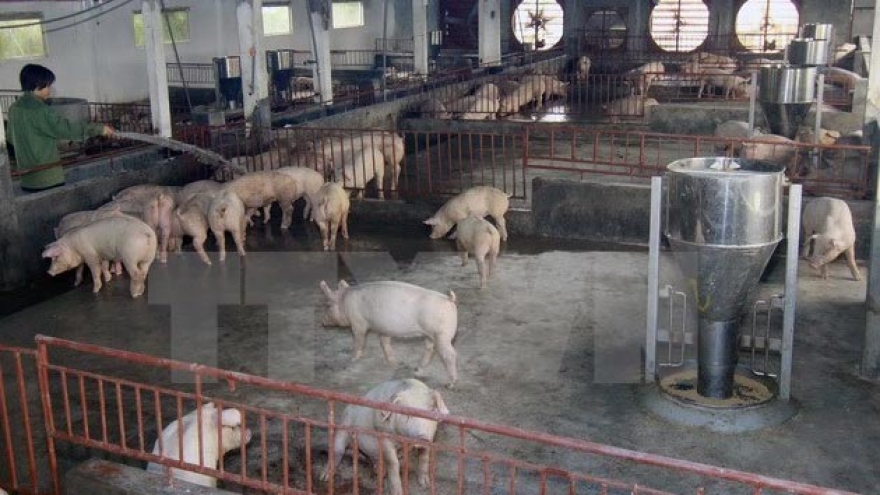 Hanoi shifts to animal husbandry, agricultural services
