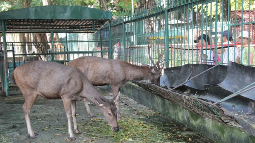 ​Vietnam establishes national association for animal protection