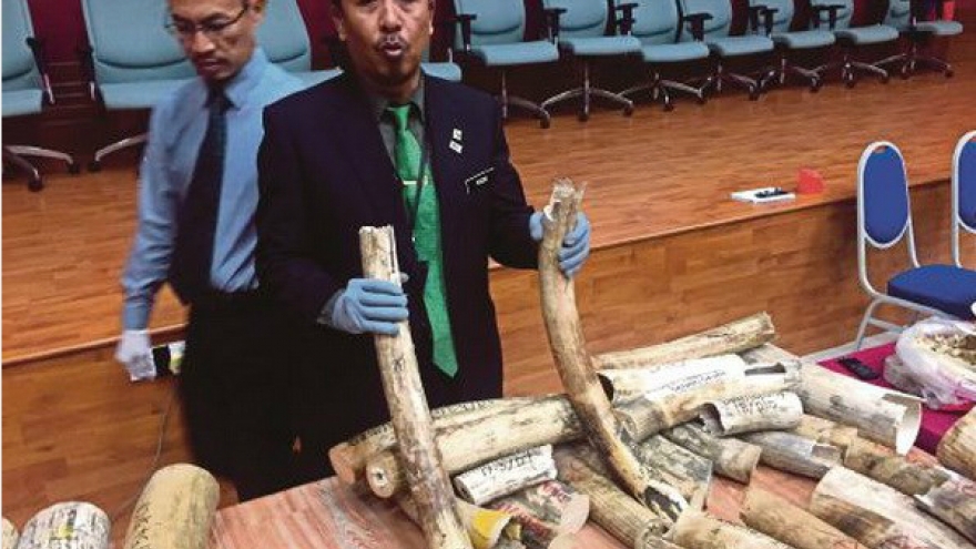 Malaysia busts Vietnamese nationals for wildlife trafficking