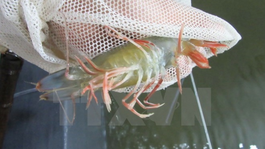 Ministry moves to tackle aquatic animal diseases