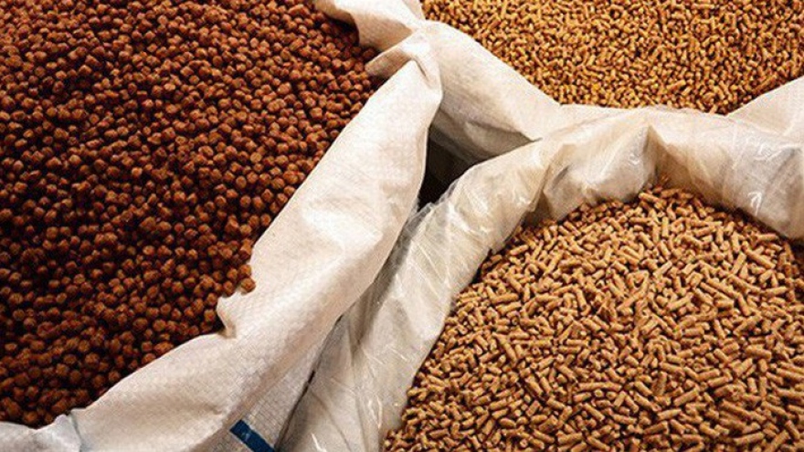 Imports of animal feed continue upward trend