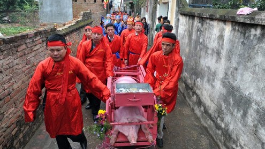 Vietnam bans animal slaughter at violent spring festivals