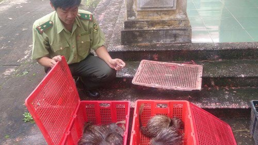 Police rescue 40 endangered animals smuggled for restaurant