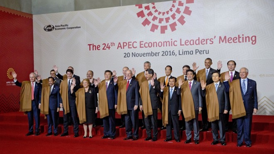 APEC Leaders’ Declaration released