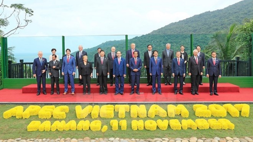 APEC 2017: Russian expert praises Vietnam’s role in region