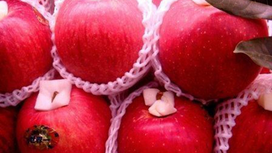 Japanese apples re-enter Vietnamese market