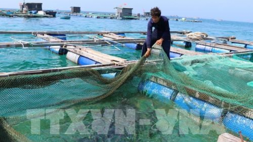 Aquaculture sector looks to sustainable development