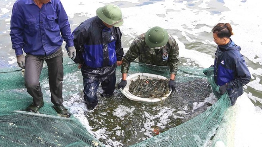 Aquatic catch, aquaculture output enjoy growth in first quarter