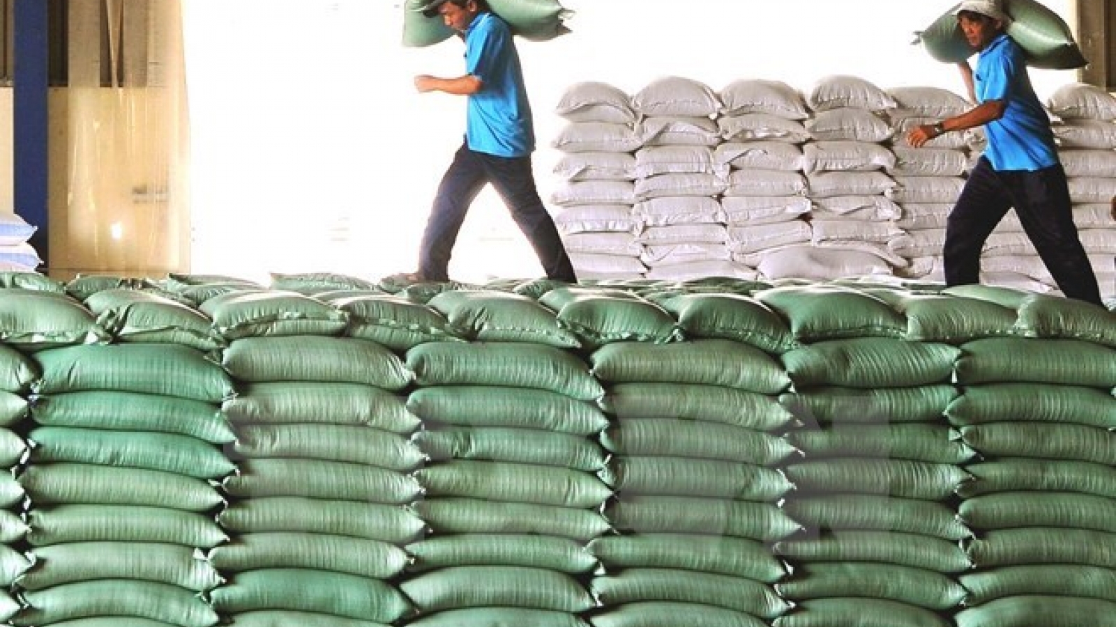 Agriculture, trade ministries sign MoU on agro-forestry-fisheries