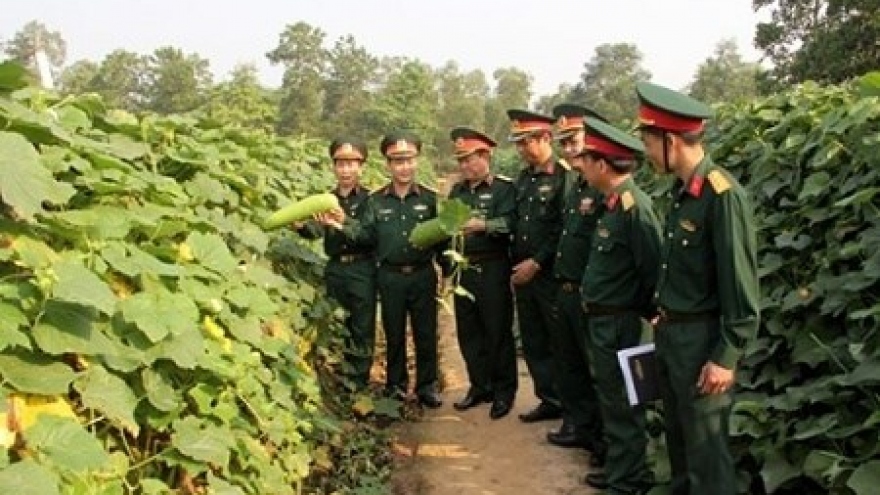 
        Vietnam, Laos armies exchange security defence experience
                              