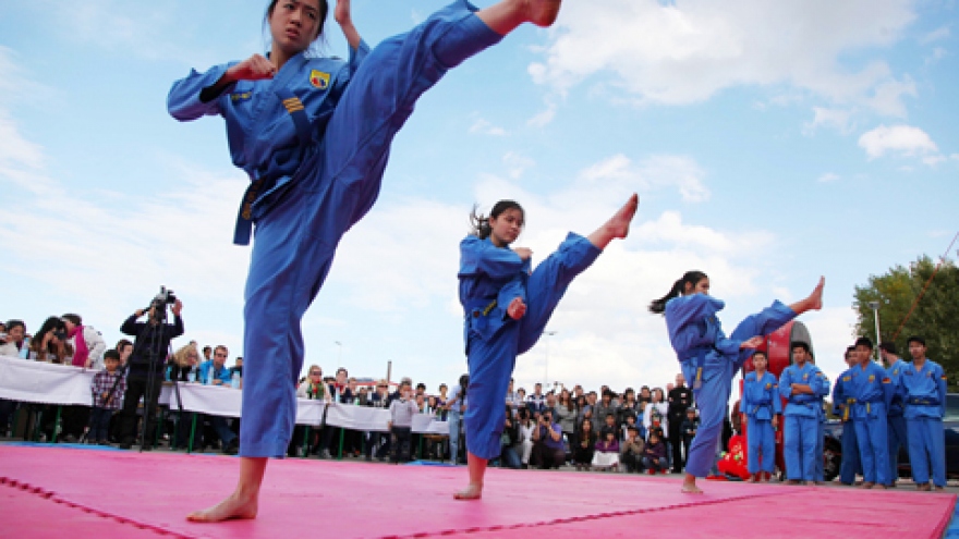 HCM City to host int’l martial arts festival