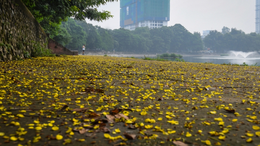 First signs of autumn rustle into Hanoi
