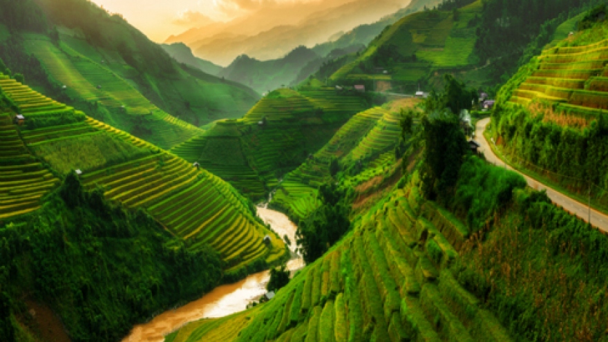 Two Vietnamese locales get autumn stars