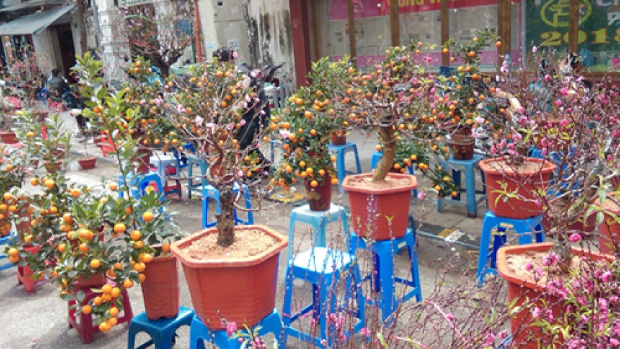 A view around the flower markets of Hanoi
