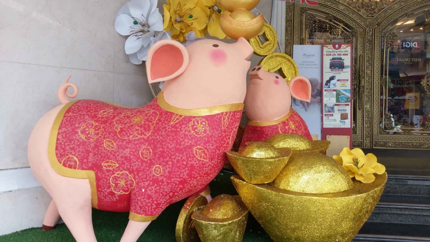 Commercial centres in Hanoi sparkle as Tet approaches