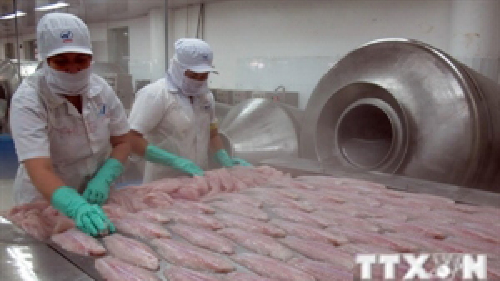 Vietnam seeks to boost aquacultural exports to Canada