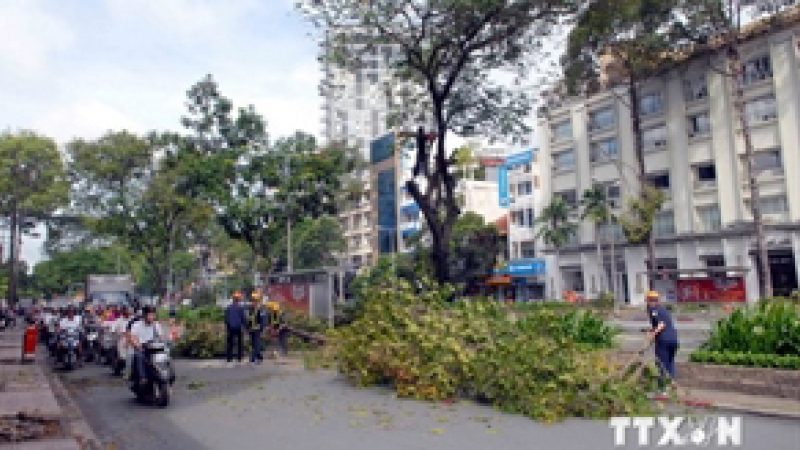 Hanoi’s CPI falls 0.23% in December