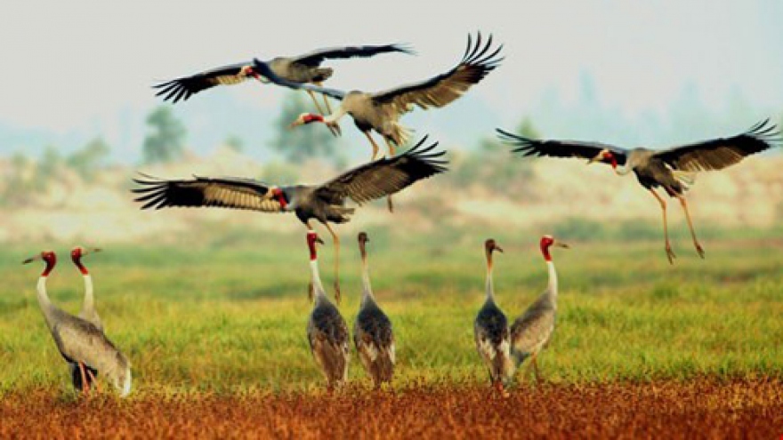 Vietnam's amazing national parks