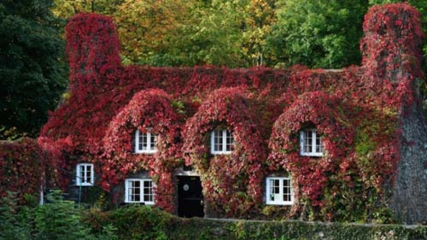 Autumn colours