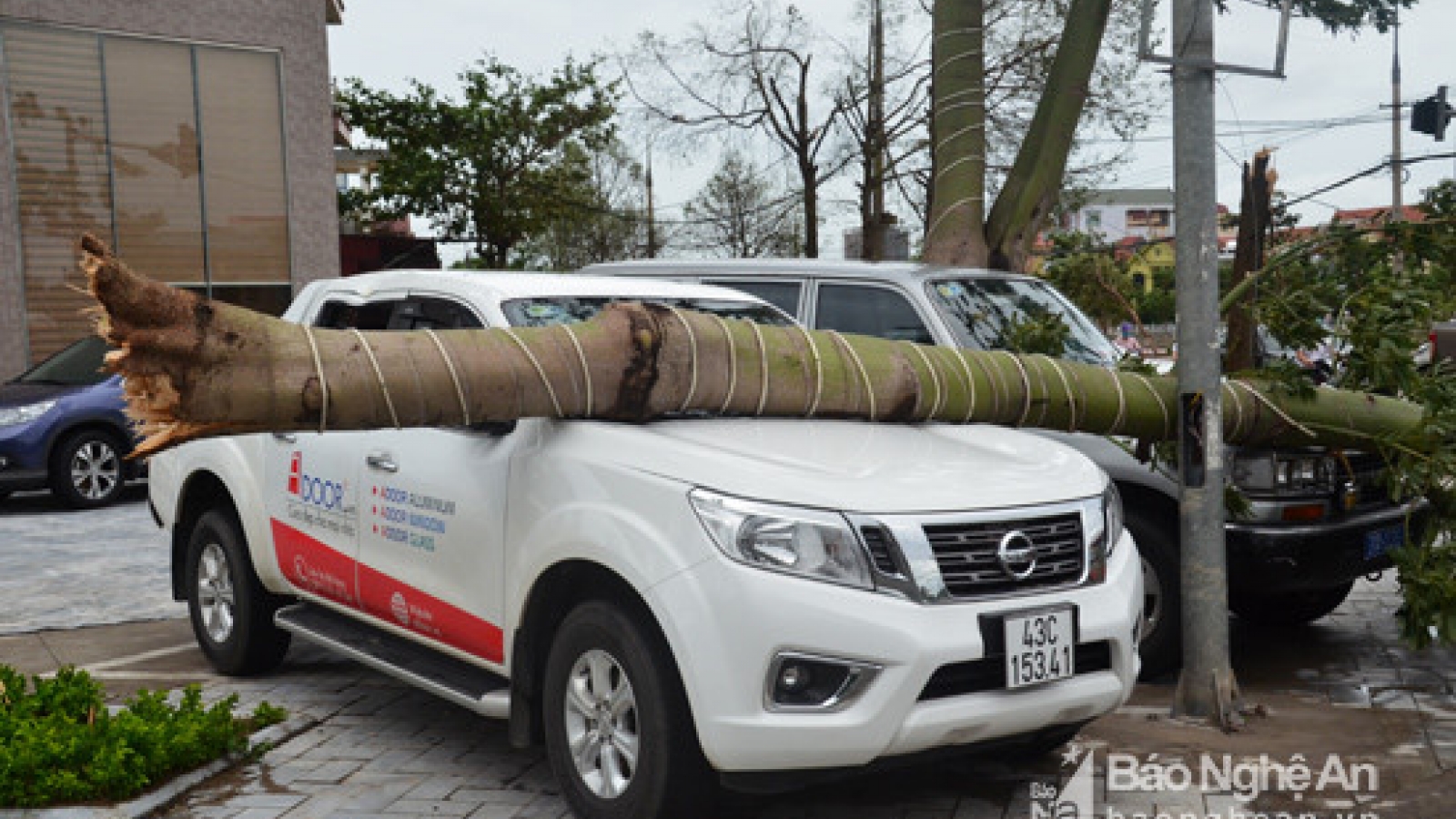 In photos: Storm rolls through Nghe An, Ha Tinh