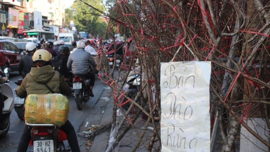 Tet products on sale across Hanoi