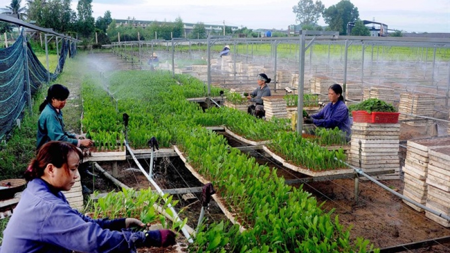 Vietnam to raise forest coverage, exports