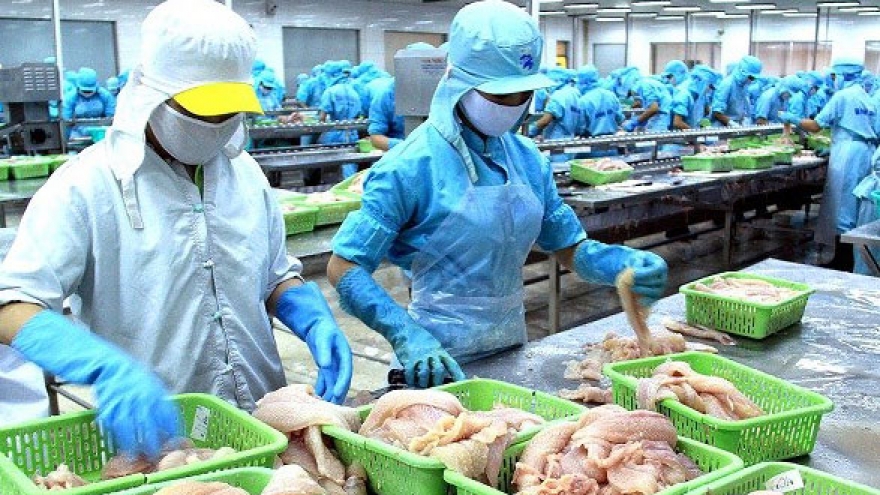 Russia rejects Vietnamese frozen basa fish