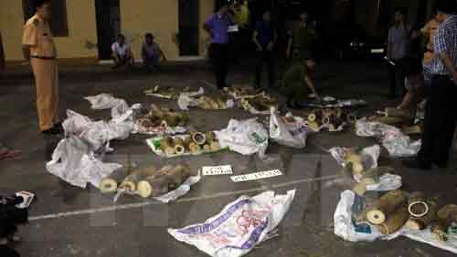 Bac Giang police awarded for busting elephant tusk trafficking
