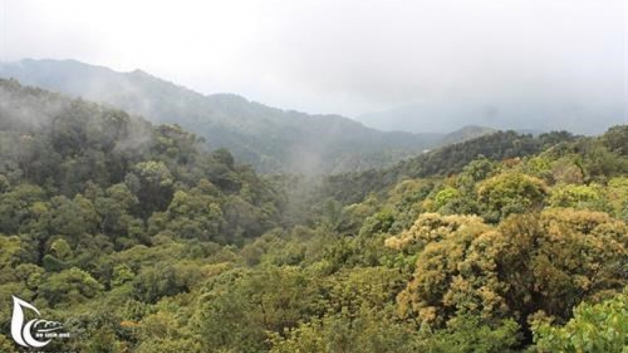 Bach Ma National Park: the ‘sleeping beauty’ of central Vietnam
