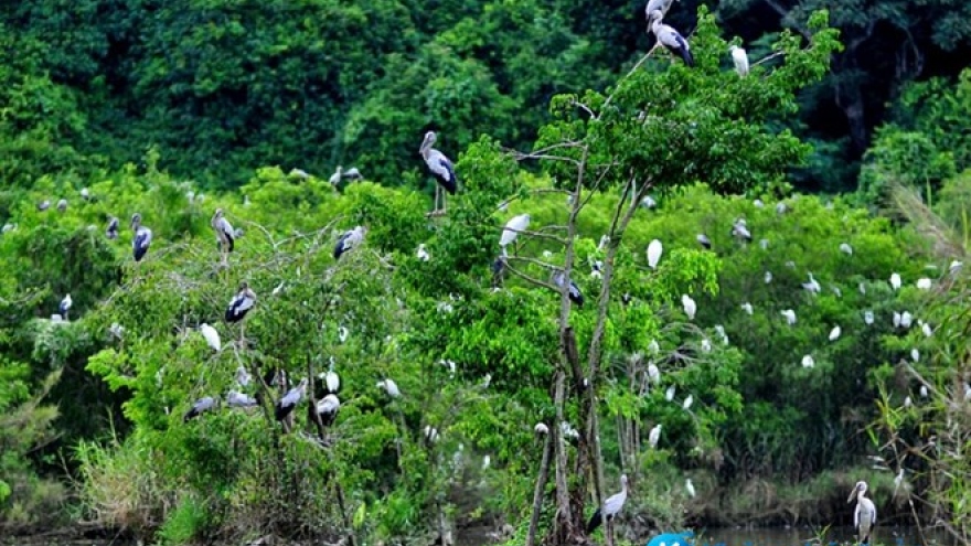 Bac Lieu bird sanctuary faces high risk of fires