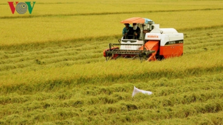 Vietnam needs new vision for rice production