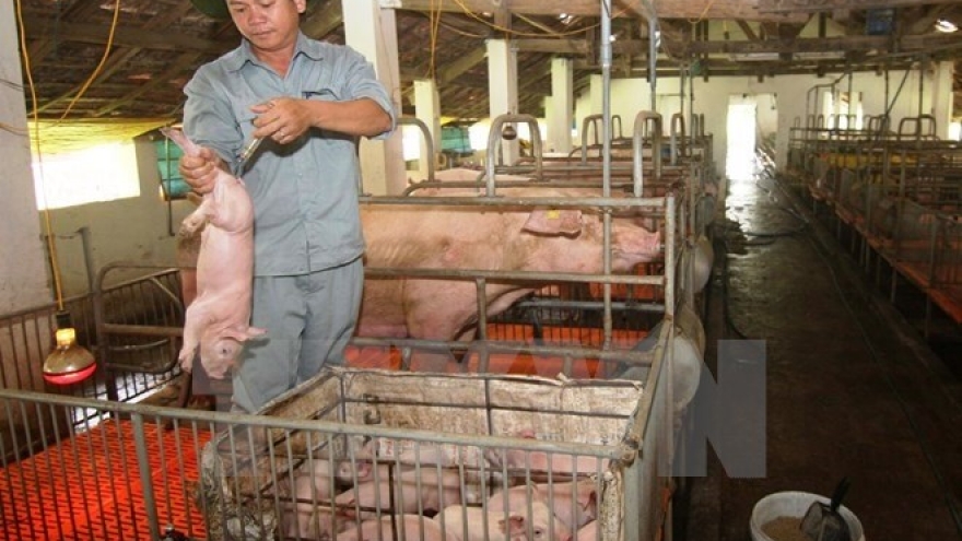 Use of cysteamine banned in Vietnam