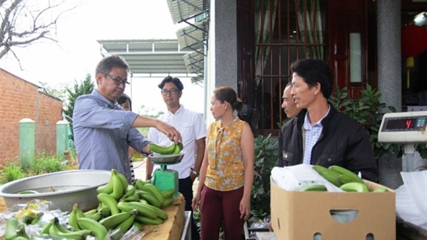Lam Dong exports Laba banana to Japan