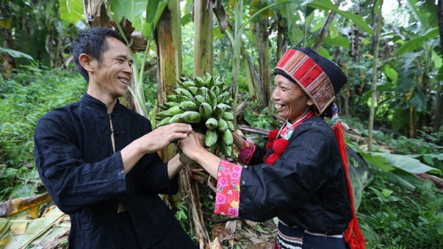 Australian funded program empowers women in northern Vietnam