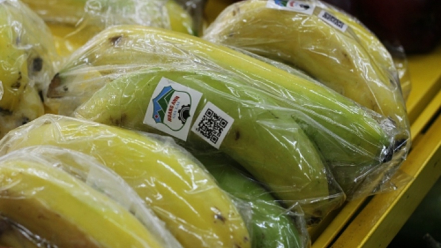 Vietnam agriculture giant wagers on banana