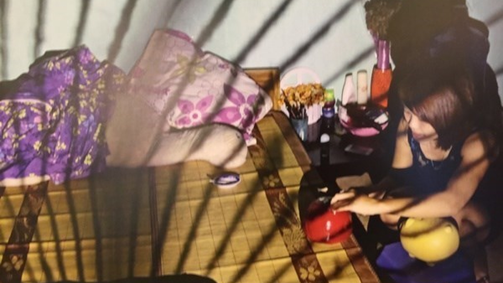New Zealand’s prostitution management experience shared