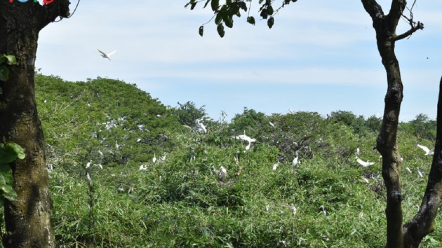 Bang Lang stork garden in Can Tho province