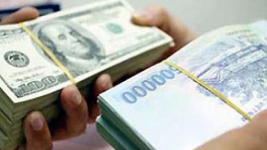 Vietnam Central Bank terminates short-term borrowing of foreign currencies